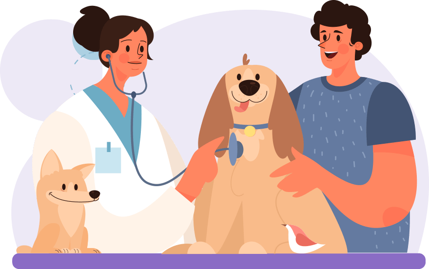 cloud pacs veterinary